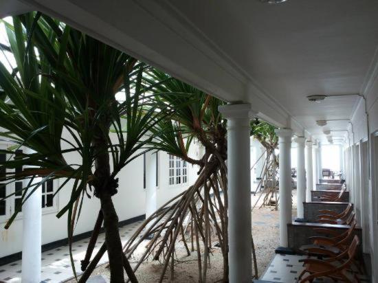 Ap Nippon Beach Hikkaduwa Bagian luar foto